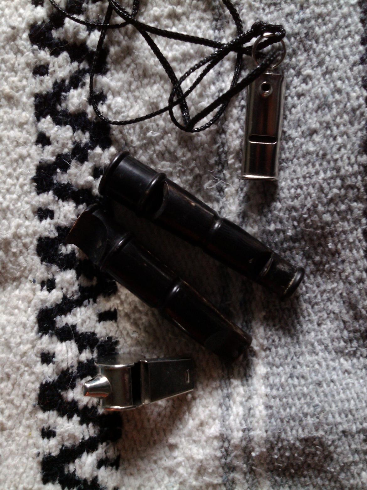 Hundeting billede 10