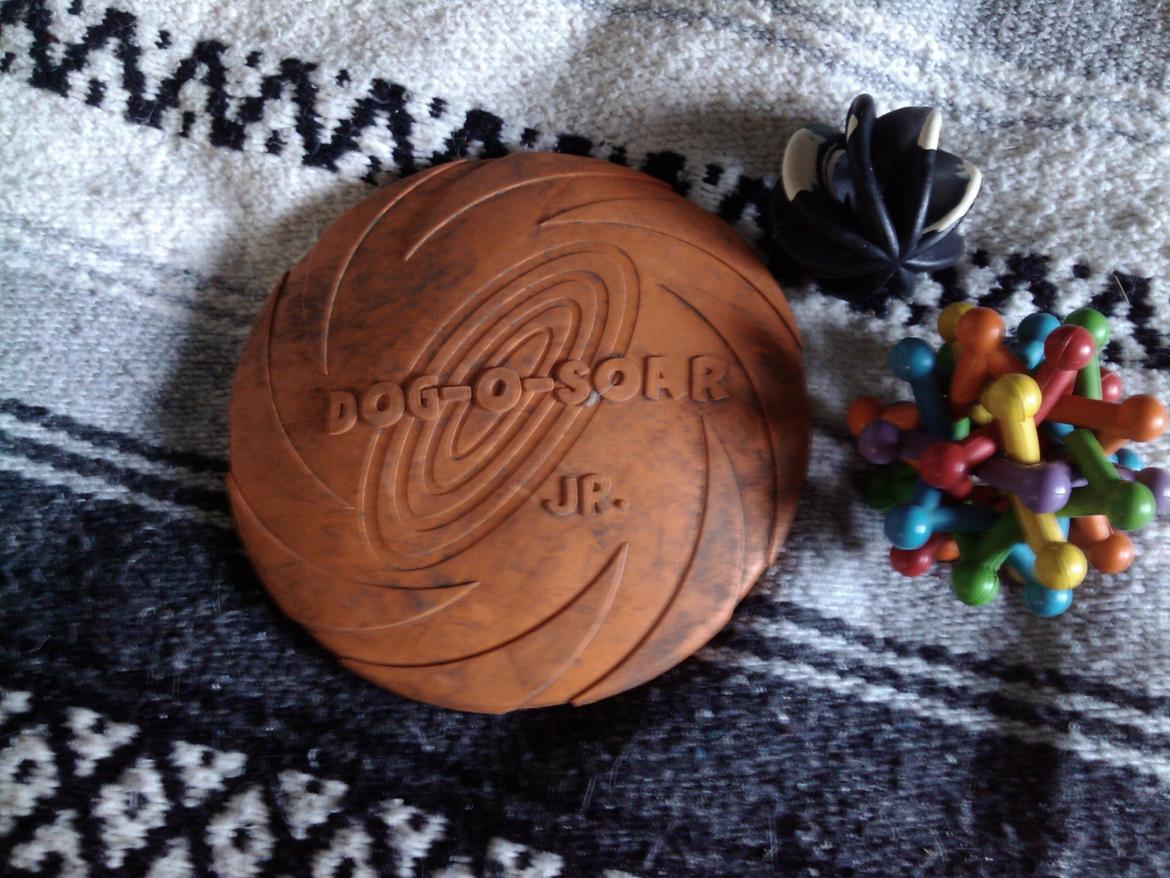 Hundeting billede 15