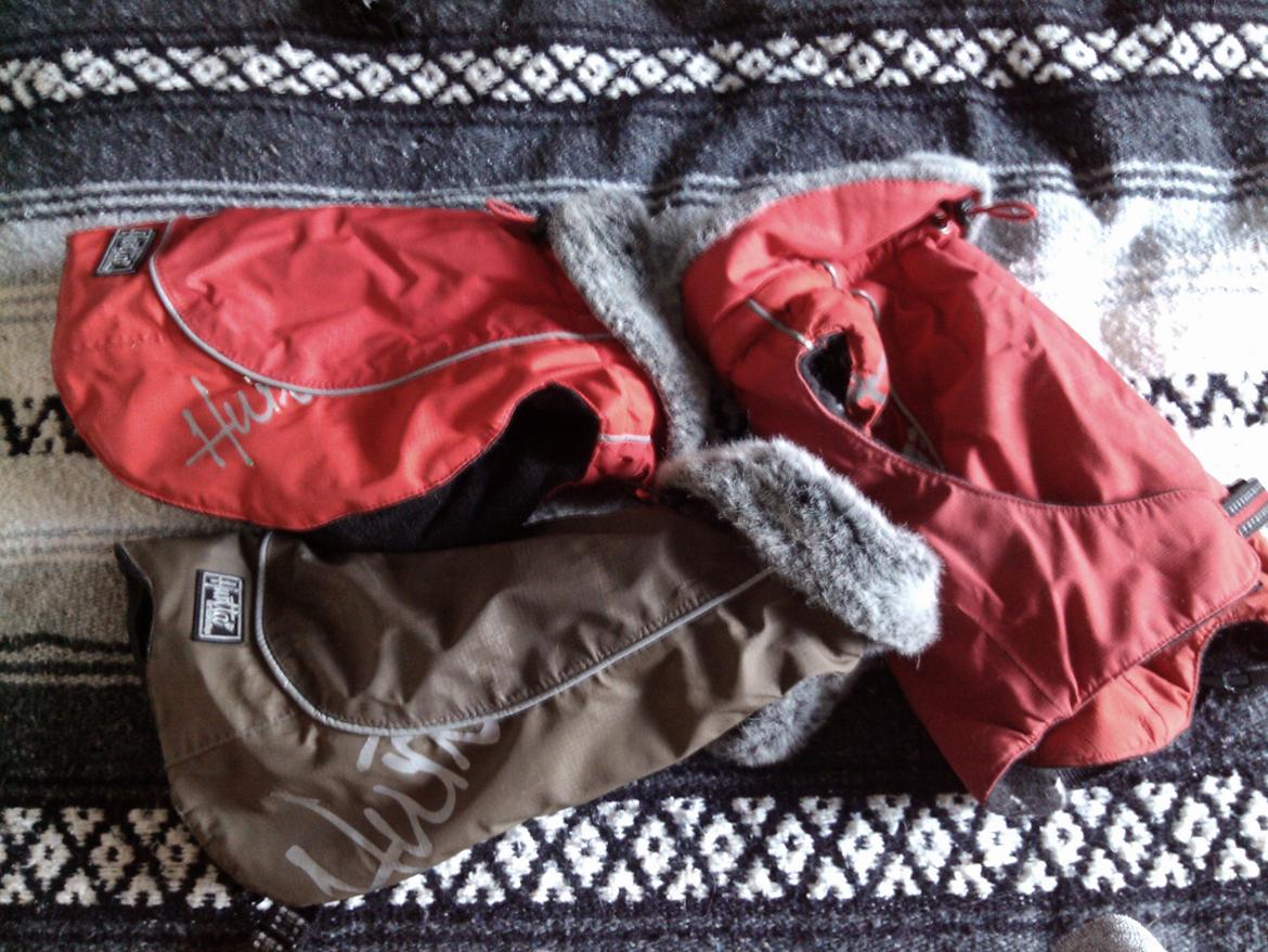 Hundeting billede 17