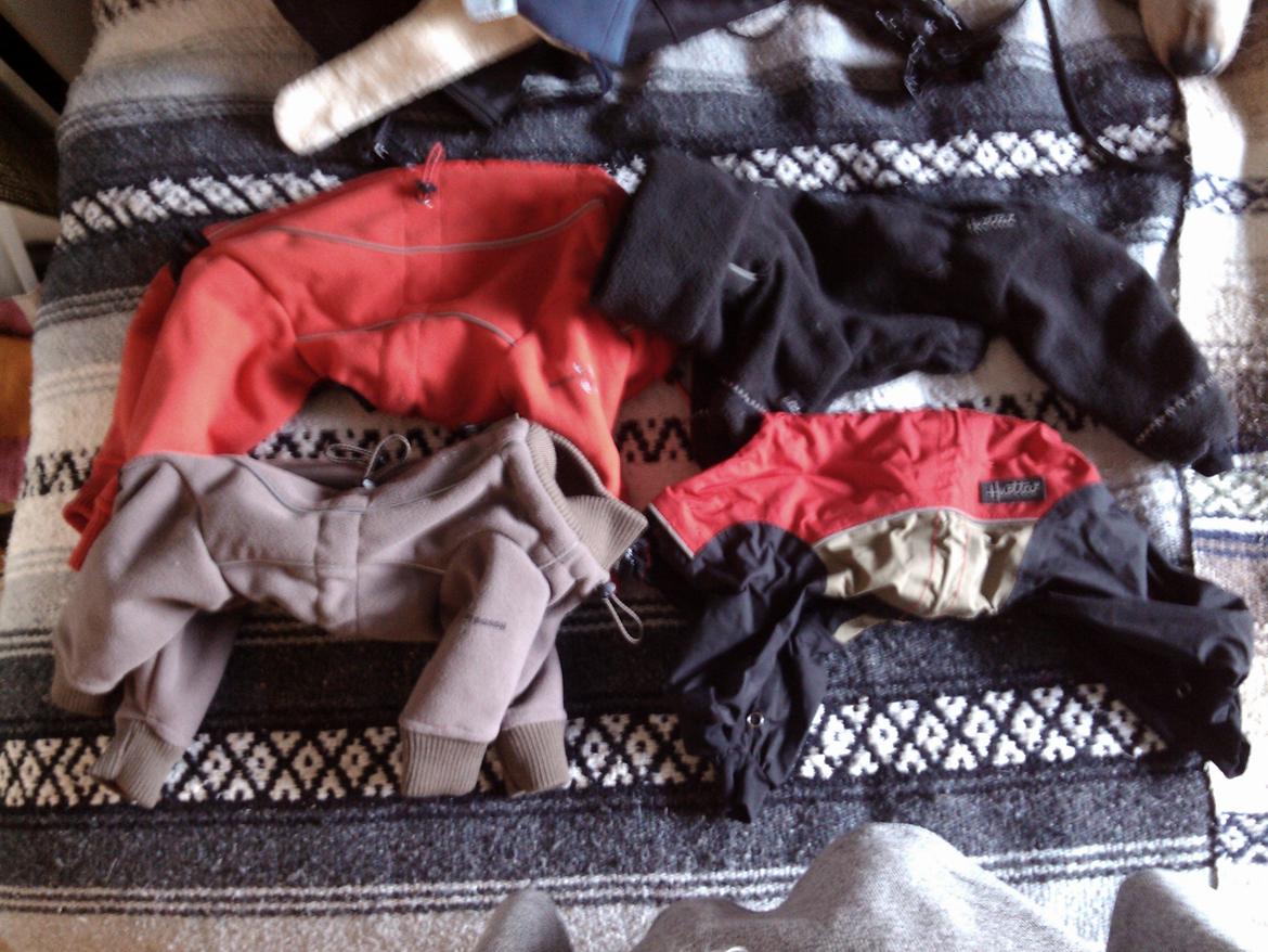 Hundeting billede 19