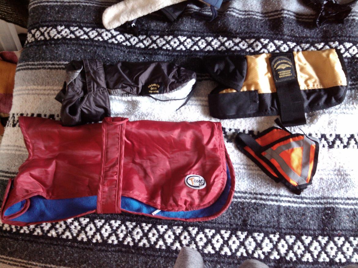 Hundeting billede 20