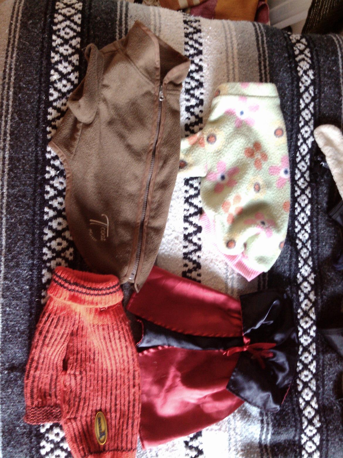 Hundeting billede 22