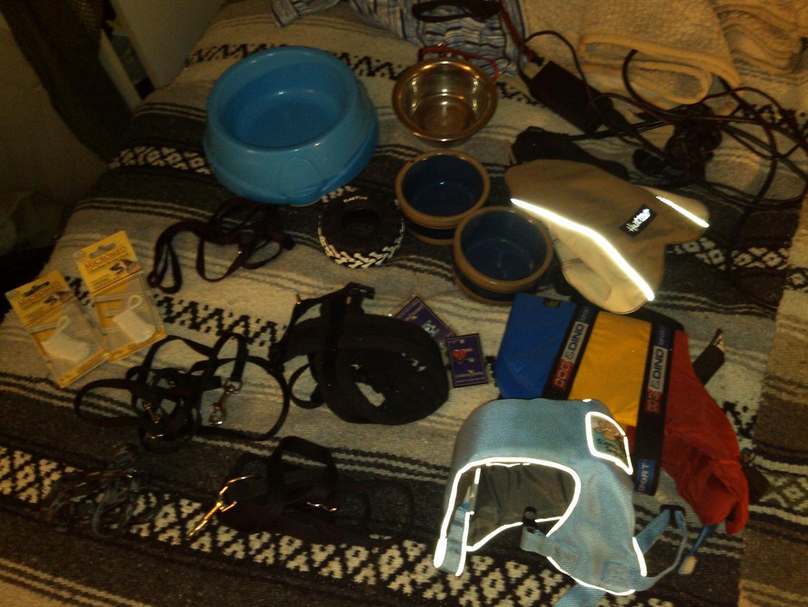 Hundeting billede 33