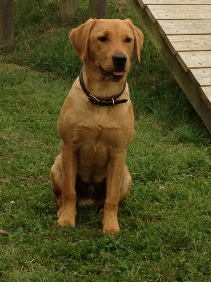 Jackpots far Jura - 6 mdr billede 3