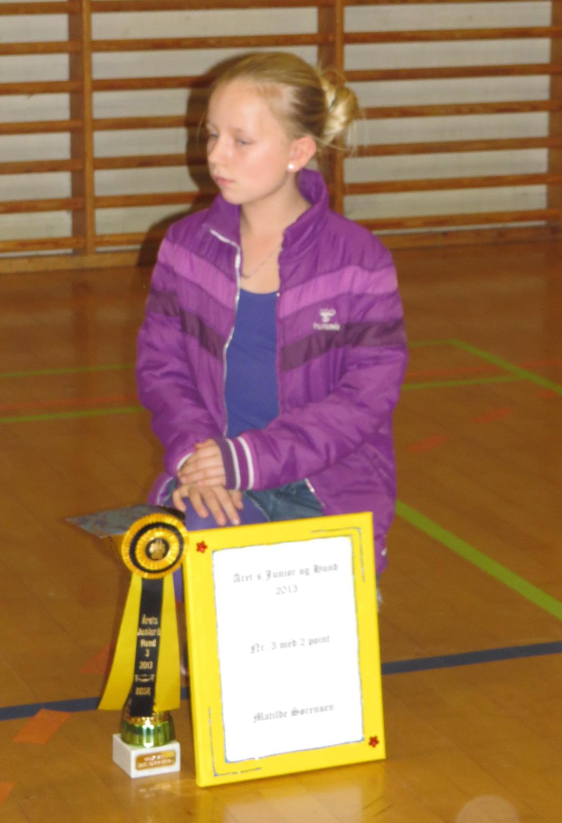 Hundeudstilling i Herlufmagle Hallen.  billede 102