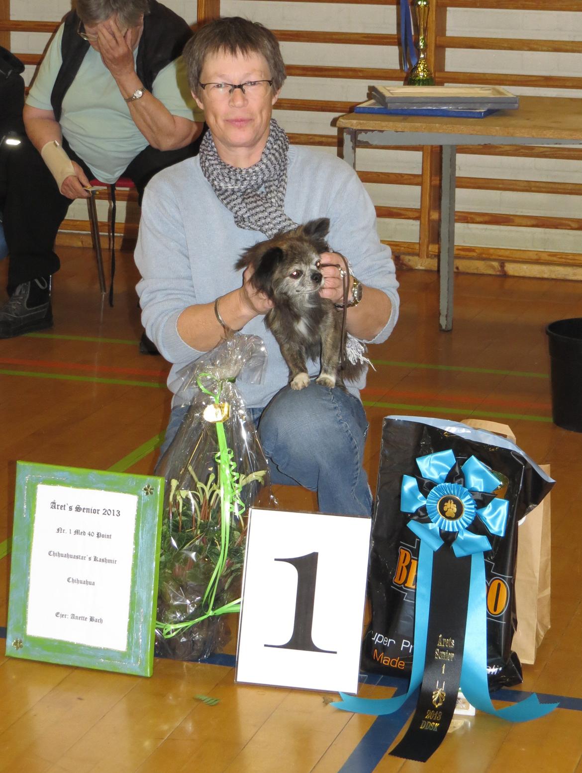 Hundeudstilling i Herlufmagle Hallen.  billede 119