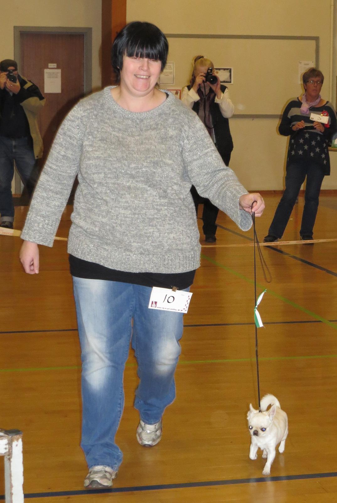 Hundeudstilling i Herlufmagle Hallen.  billede 121