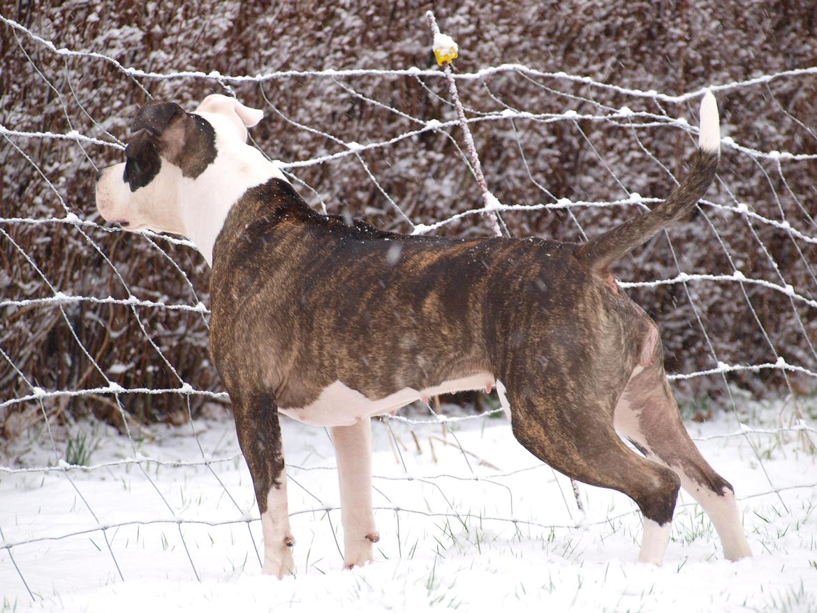 Wapzi<3 R.I.P.† 1 Maj 2020 † billede 33