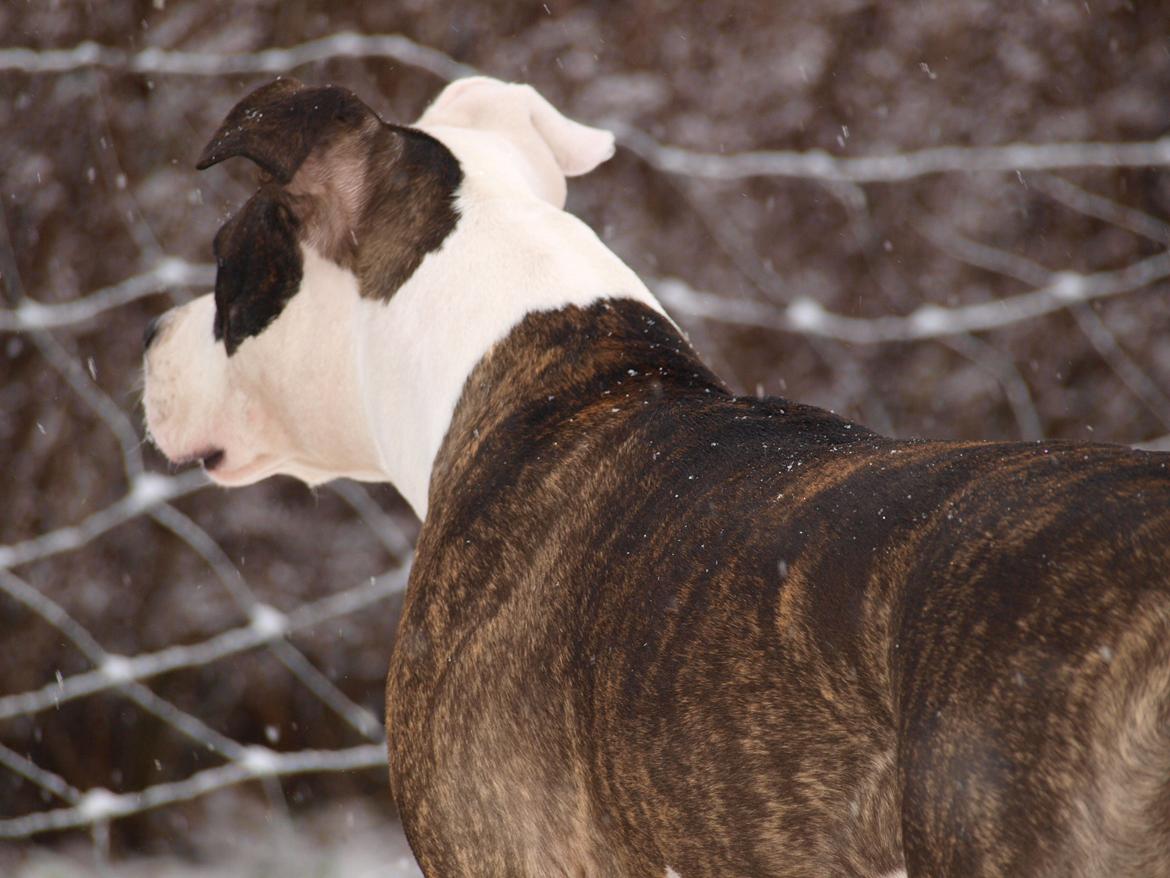 Wapzi<3 R.I.P.† 1 Maj 2020 † billede 34