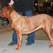 Maude fra lille baby til nu 