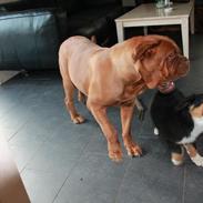 Maude fra lille baby til nu 