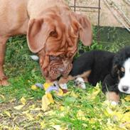 Maude fra lille baby til nu 