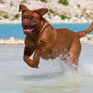 Maude fra lille baby til nu 