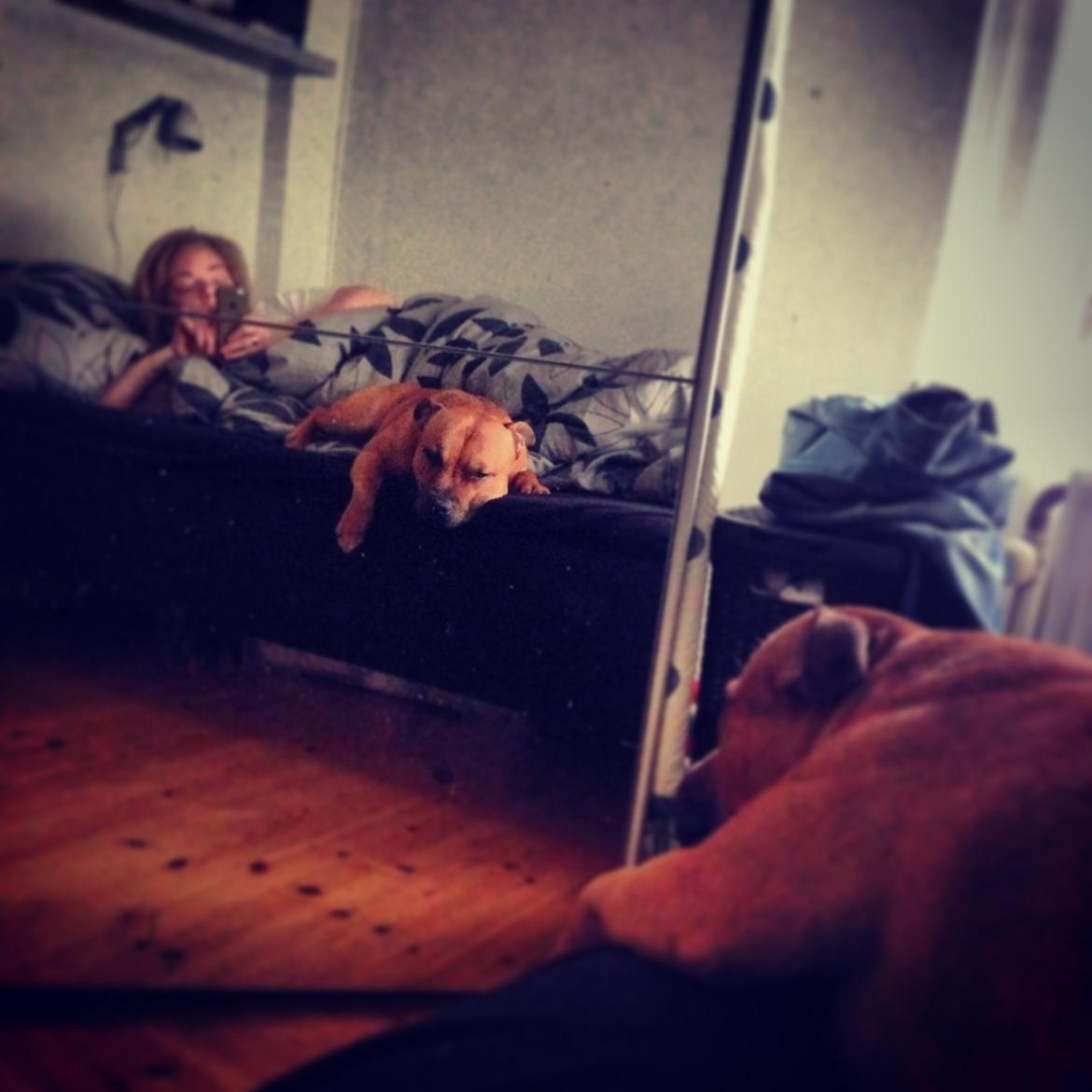 Elo`s HundeLiv billede 9