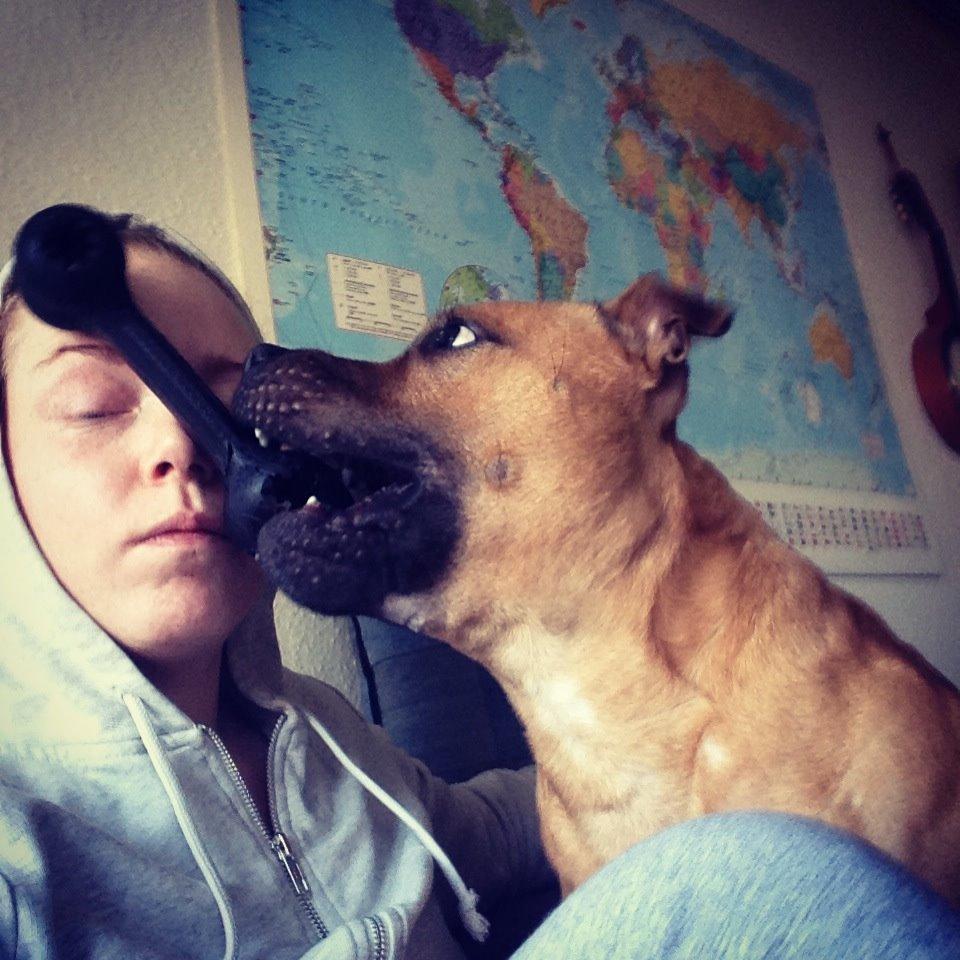 Elo`s HundeLiv billede 7