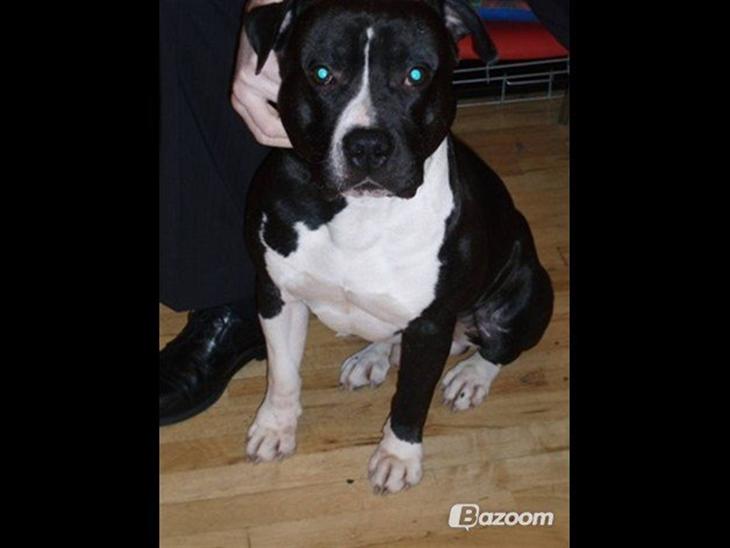 {{currentPhoto.altText}} billede {{currentPhoto.number}}