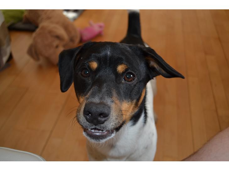 {{currentPhoto.altText}} billede {{currentPhoto.number}}