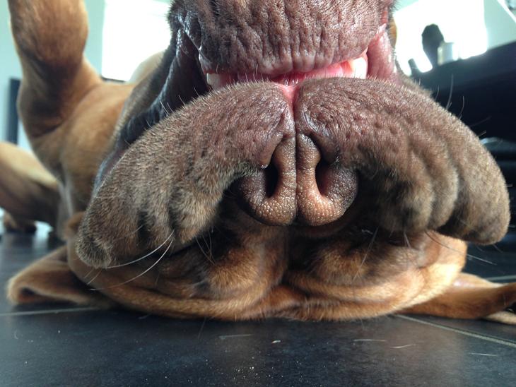 {{currentPhoto.altText}} billede {{currentPhoto.number}}