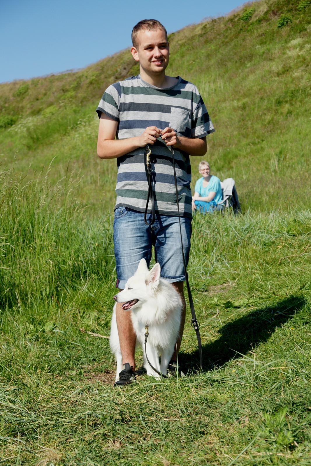 Ulbjerg Klint billede 17