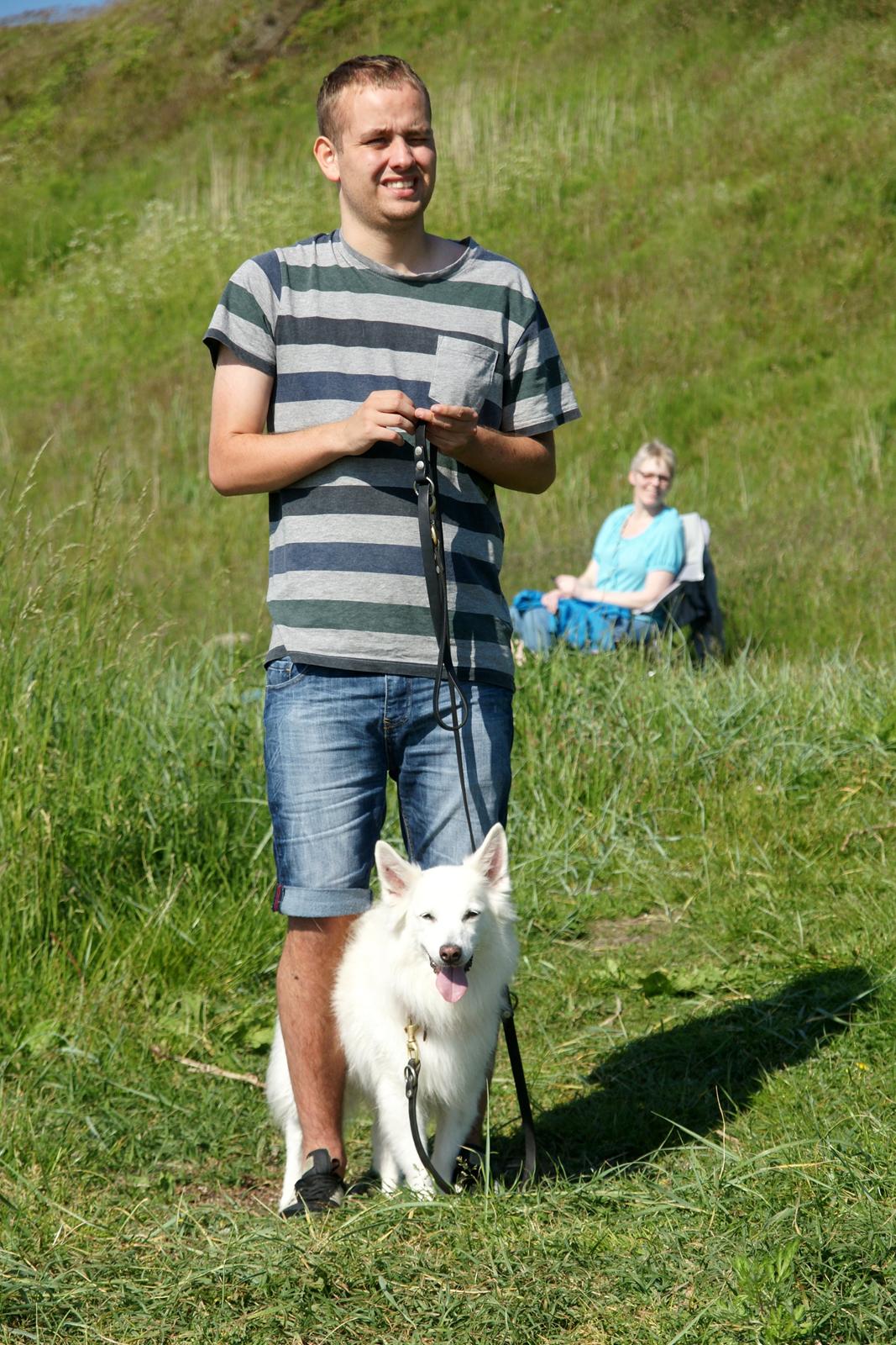 Ulbjerg Klint billede 18