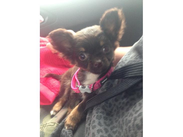 {{currentPhoto.altText}} billede {{currentPhoto.number}}