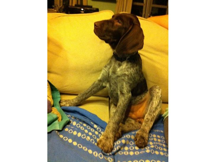 {{currentPhoto.altText}} billede {{currentPhoto.number}}