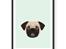 Hunde plakater - Mops