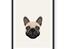 Hunde plakater - Fransk bulldog