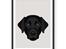 Hunde plakater - Labrador