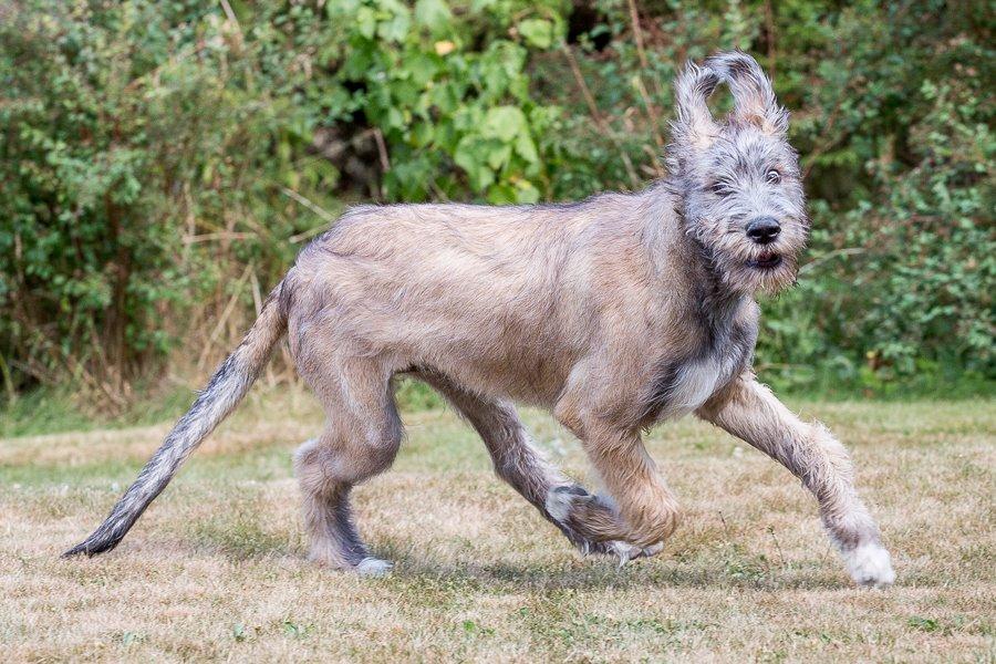 Lige børn leger bedst billede 4