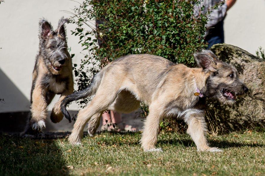 Lige børn leger bedst billede 5