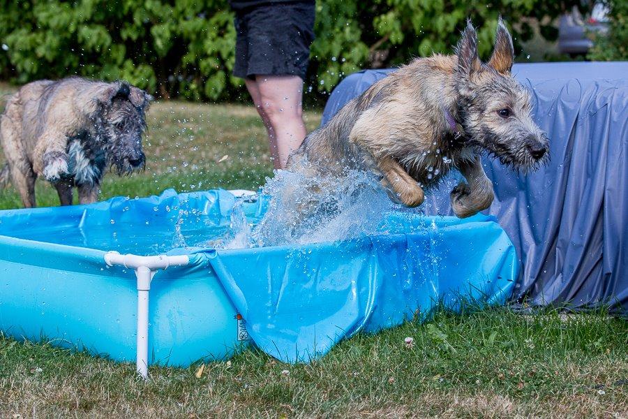 Lige børn leger bedst billede 14