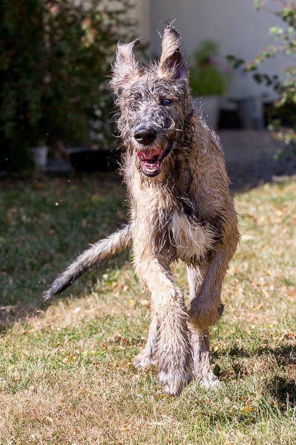 Lige børn leger bedst billede 15