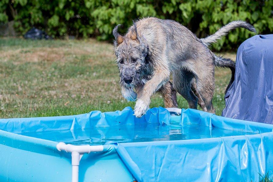 Lige børn leger bedst billede 17
