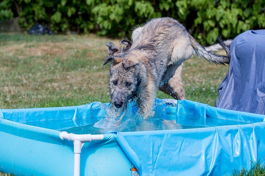 Lige børn leger bedst billede 18