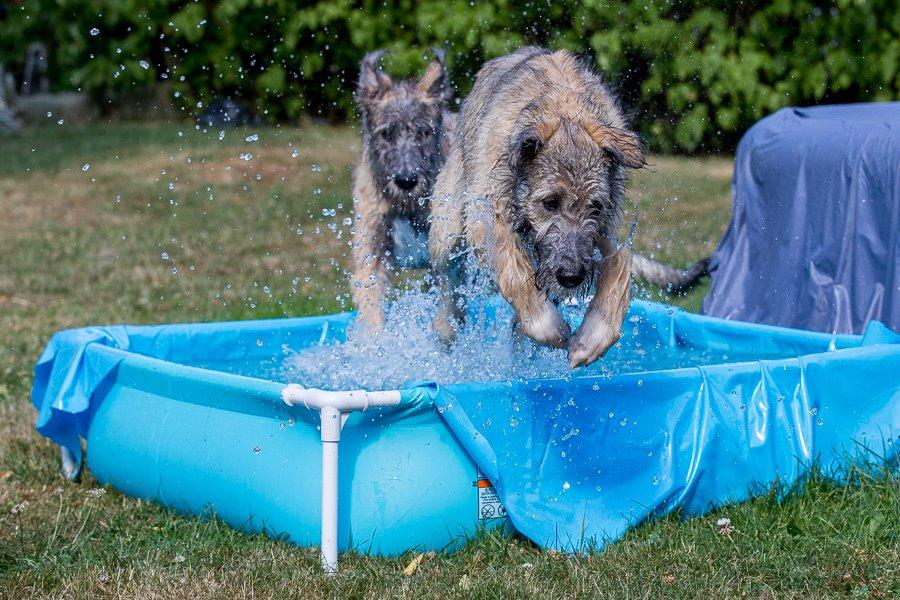 Lige børn leger bedst billede 20