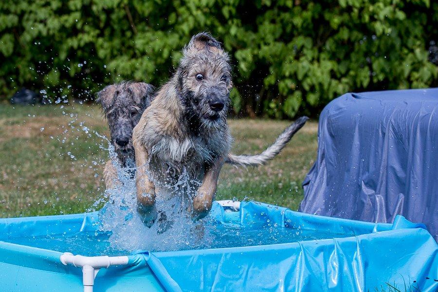 Lige børn leger bedst billede 19