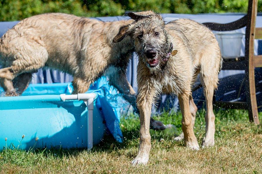 Lige børn leger bedst billede 22