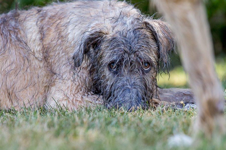 Lige børn leger bedst billede 23