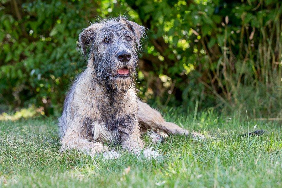 Lige børn leger bedst billede 21