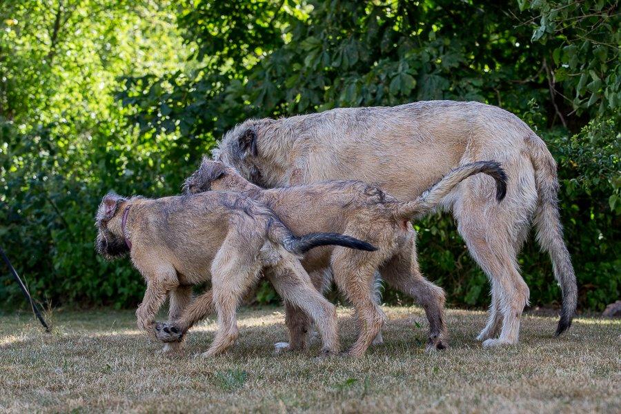 Lige børn leger bedst billede 29