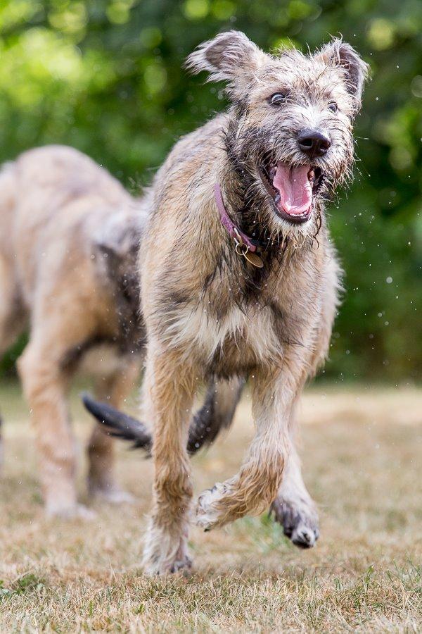 Lige børn leger bedst billede 35