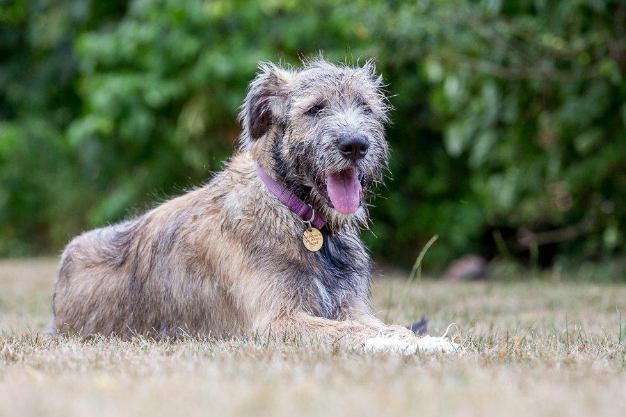 Lige børn leger bedst billede 36