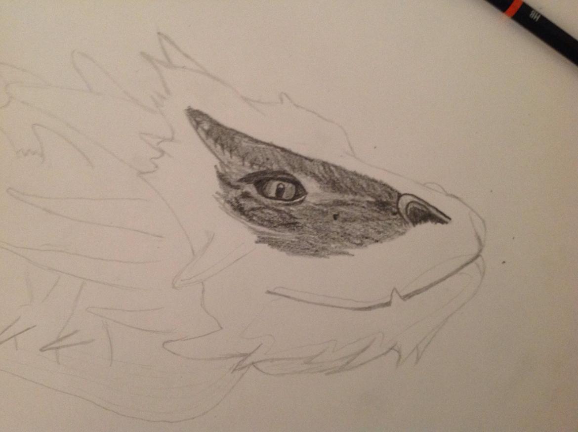 Tegninger - Smaug, fik ikke den første skitse med her er jeg begyndt med øjet :) billede 7