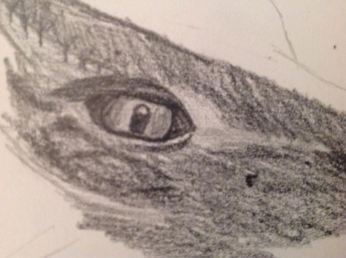 Tegninger - Tæt på :) billede 8