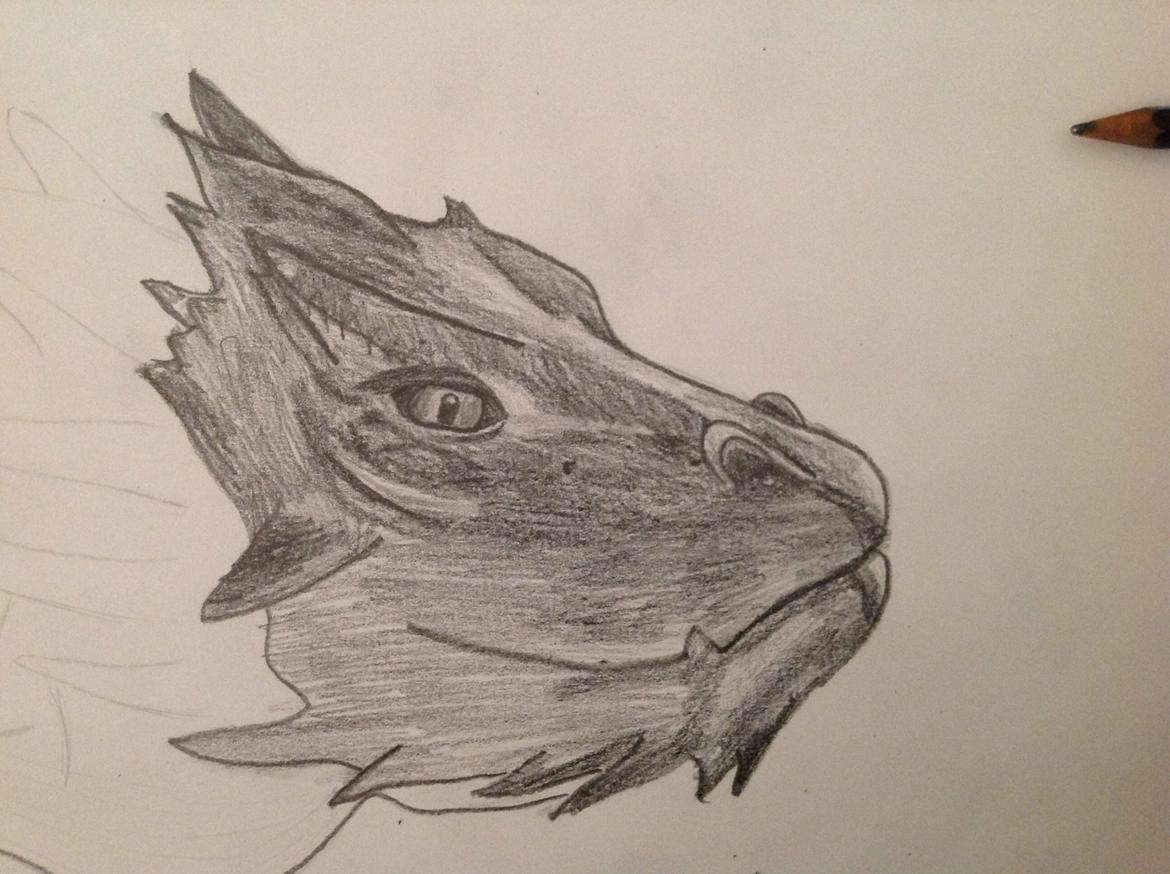 Tegninger - Hovedet færdig :) billede 9