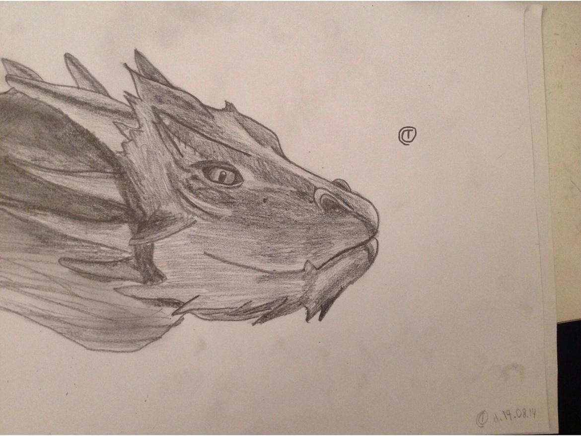 Tegninger - Færdig :) er ret utilfreds med hornene :/ billede 10