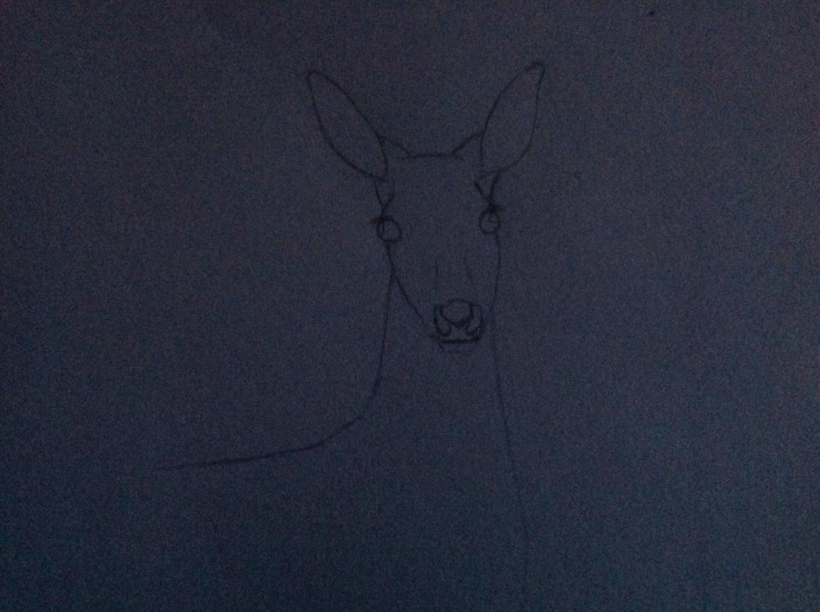 Tegninger - En Hjort :) billede 12