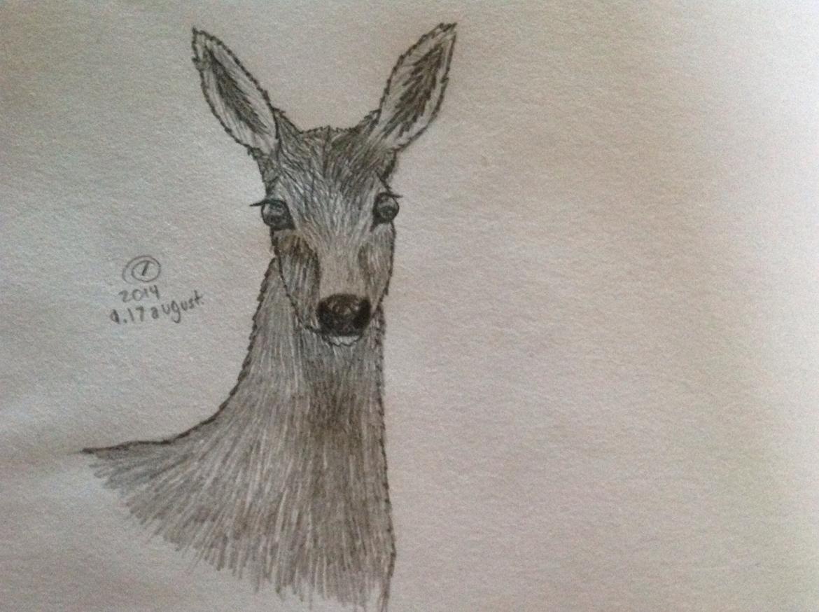 Tegninger - Færdig Hjort :)  billede 13