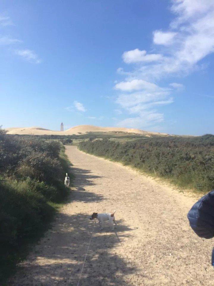 Rubjerg Mile billede 34